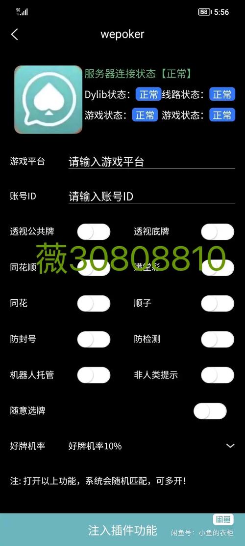 免费透视辅助器