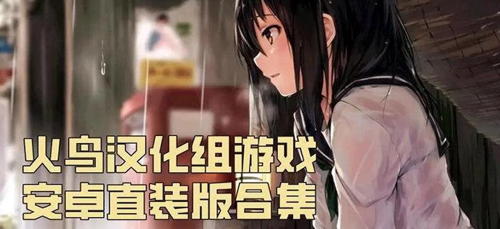 火鸟汉化组游戏安卓直装安卓版