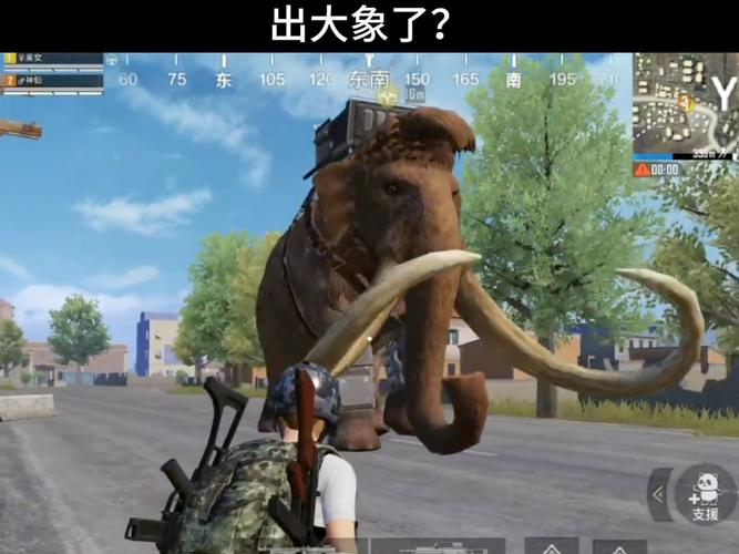 和平精英大象直装