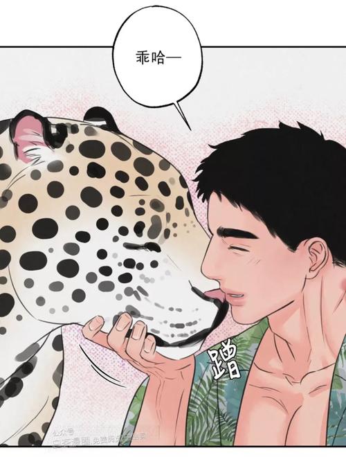 韩漫狩猎游戏丛林游戏截图