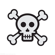 骷髅头直装完整版