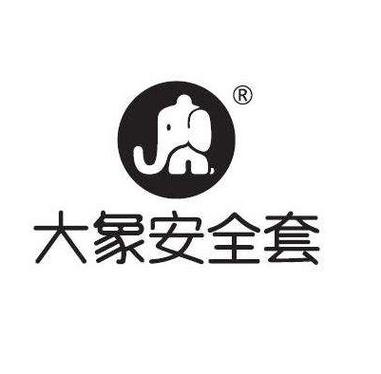大象直装最新版