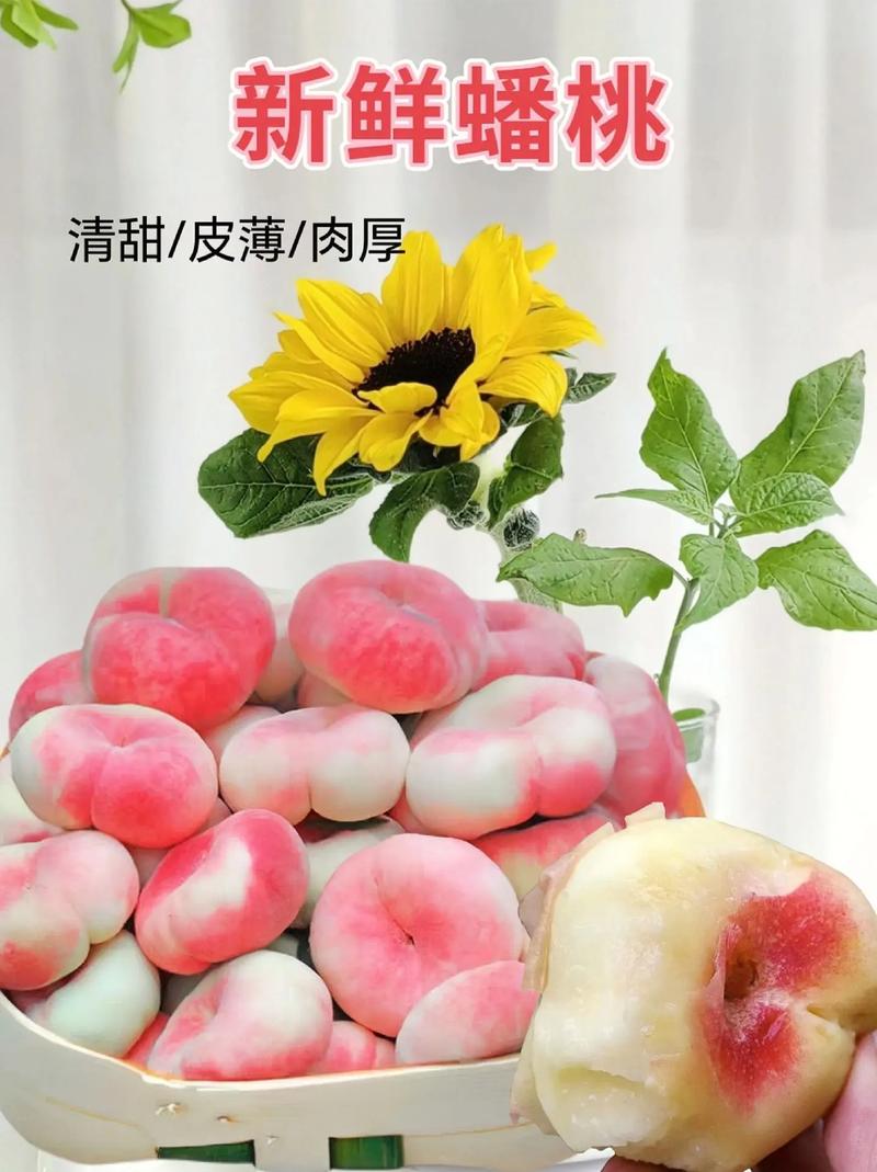 小蟠桃转发文章赚钱下载永久免更新