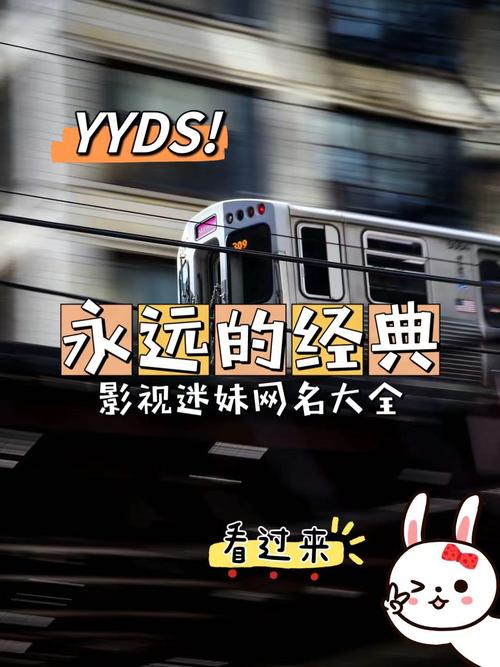 永远的经典永远的迷妹网完整版