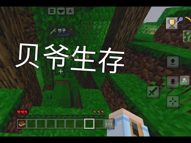 我的世界贝爷生存游戏无限能量截图