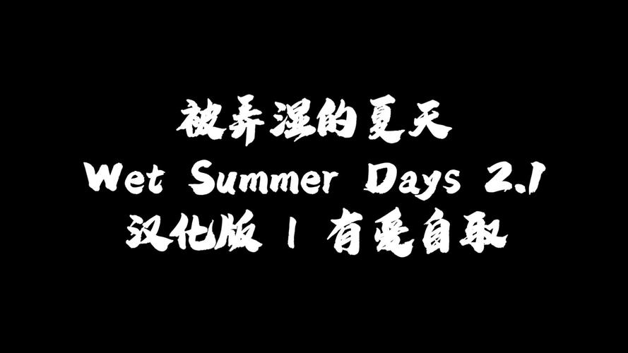 被弄湿的夏天汉化版高清版