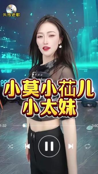 mc小莫骚麦喊麦免费中文版