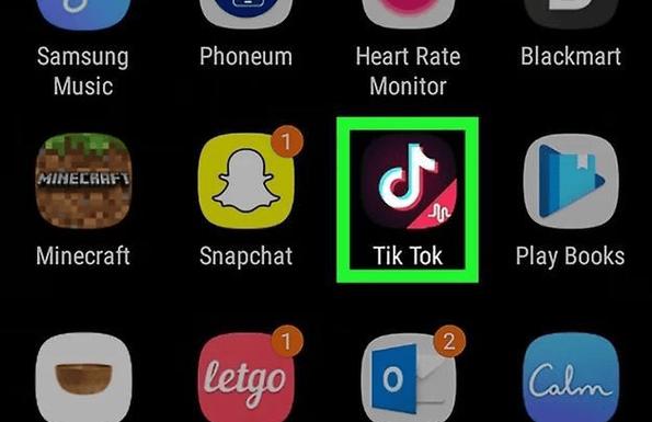 国外tiktok怎么赚钱安卓最新版