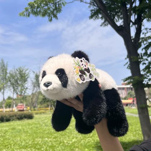 panda activate熊猫映射激活永久免费