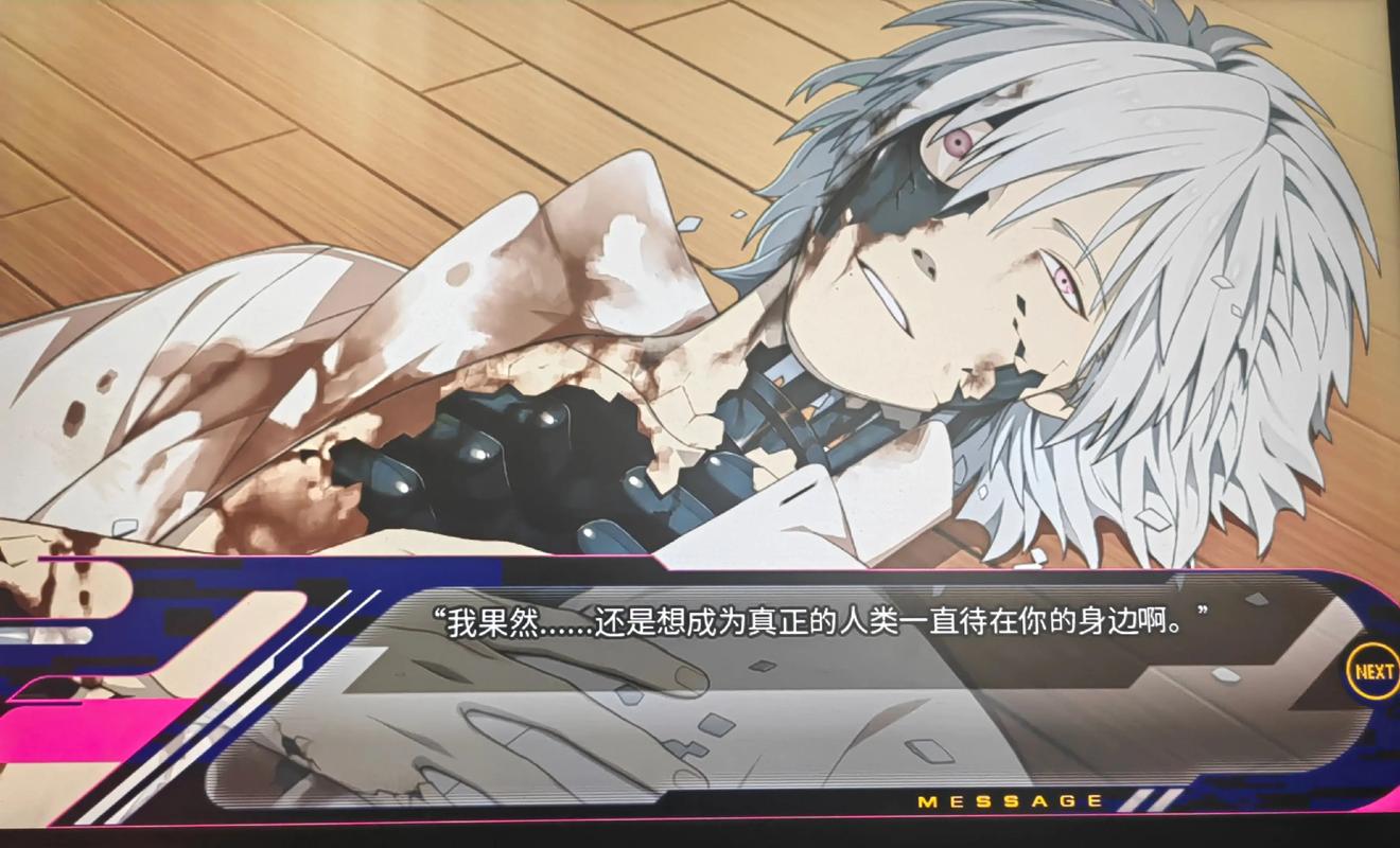 dmmd戏剧性谋杀游戏安装包破解版