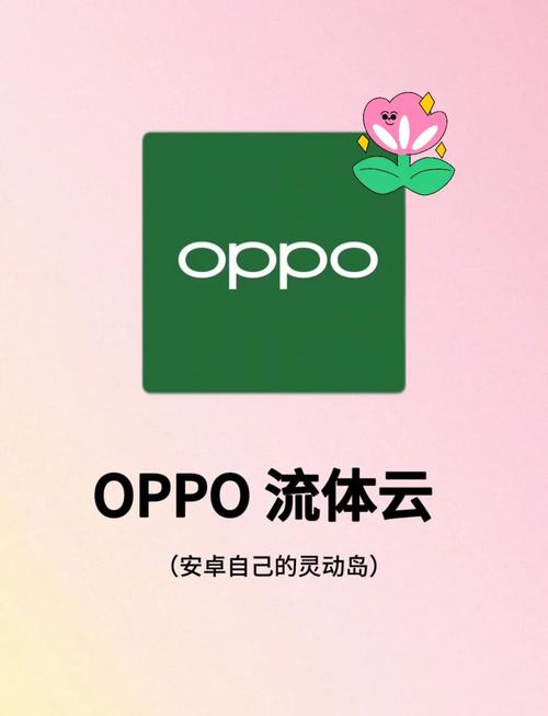 oppo驱动安装 官网