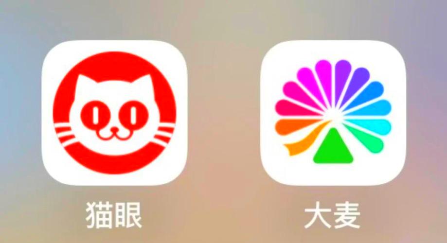 大麦猫眼自动抢票神器游戏截图