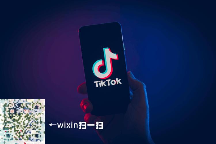 tiktok修改版安装包截图
