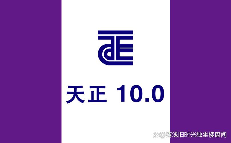 天正T20 破解