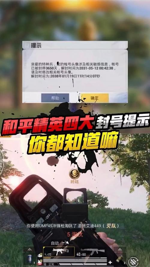 和平精英透视免费版不封号彩色版截图