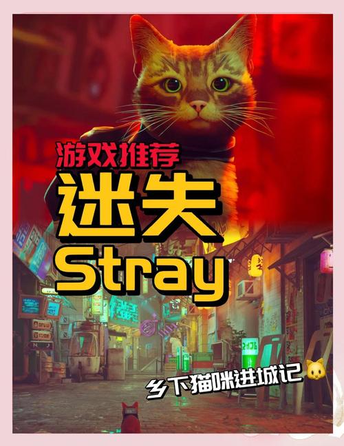 迷失stray修改器