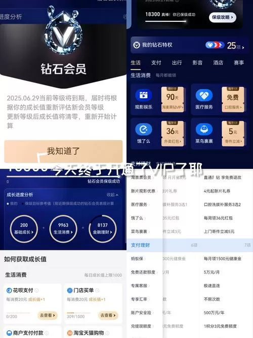 如何达到支付宝钻石会员