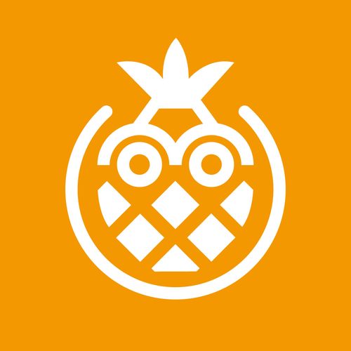 大菠萝官方app下载