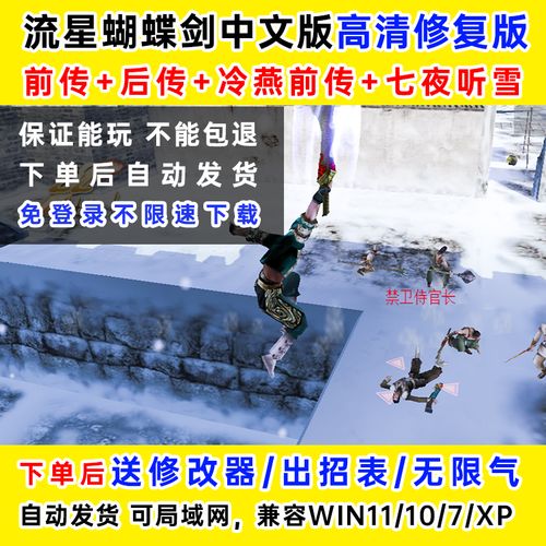 流星蝴蝶剑后传无限气汉化版