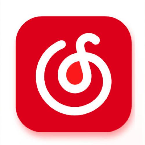 网易云音乐flyme定制版截图