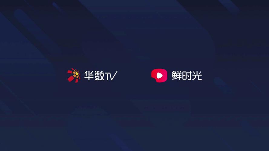 华数鲜时光安装免费图标