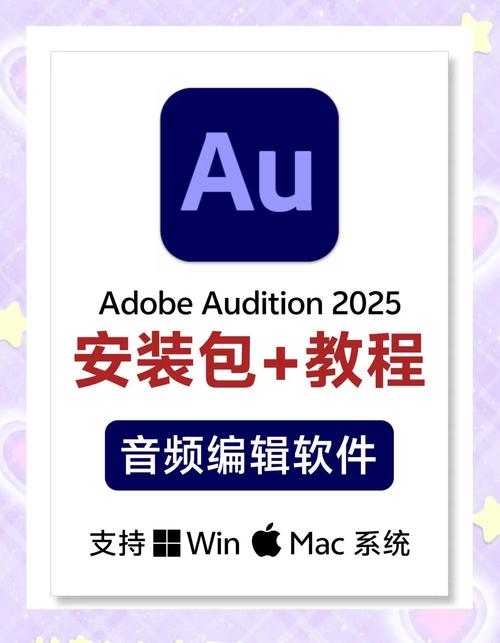 au破解版安装教程