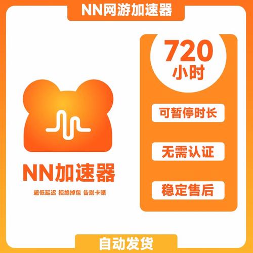 NN加速器
