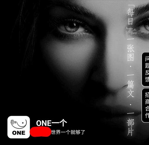 一个one就够了致敬韩寒怎么用