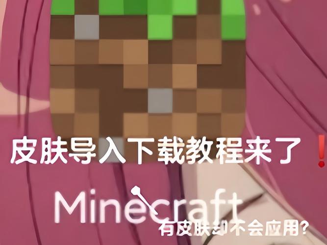 我的世界网易导出皮肤怎么导入模组