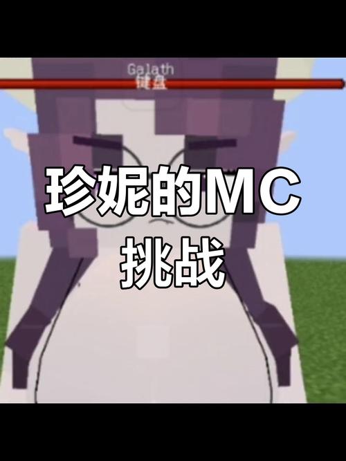 我的世界珍妮网站原视频缩略图