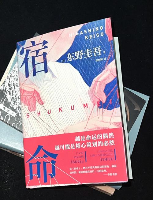 宿命论汉化无删减版