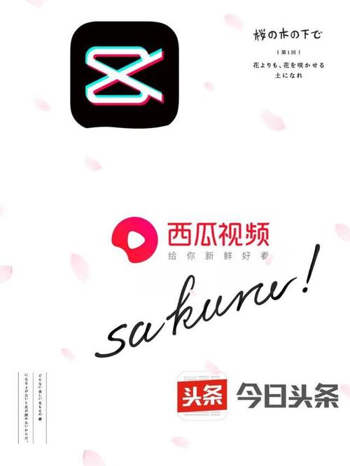 西瓜极速版快速赚钱
