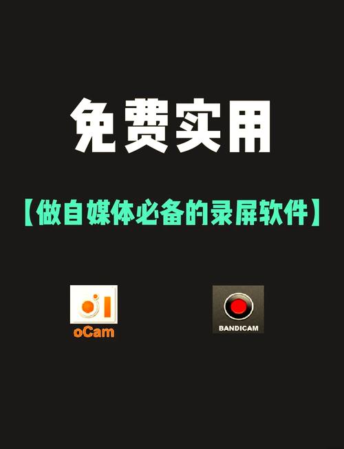 强制录屏软件破解版截图