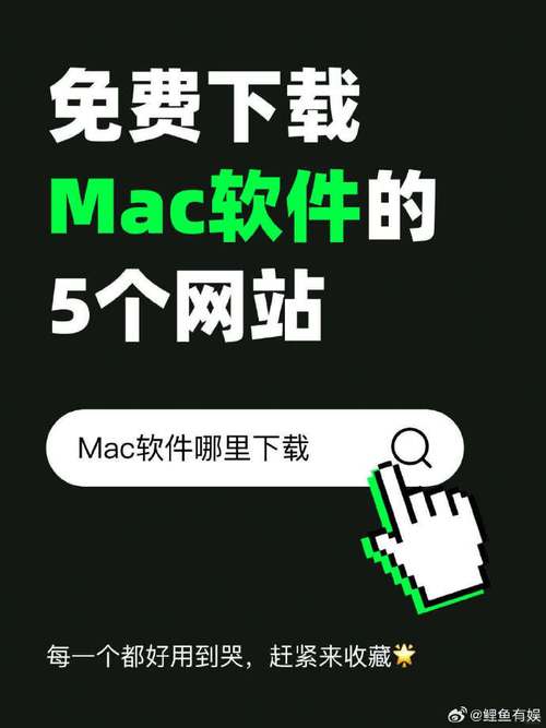 torrent怎么下载