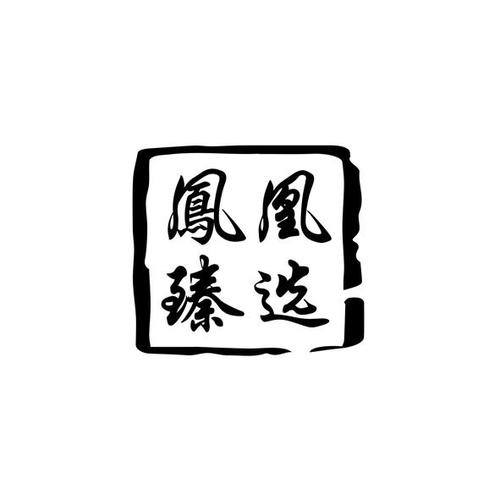 凤凰潮臻选下载正版