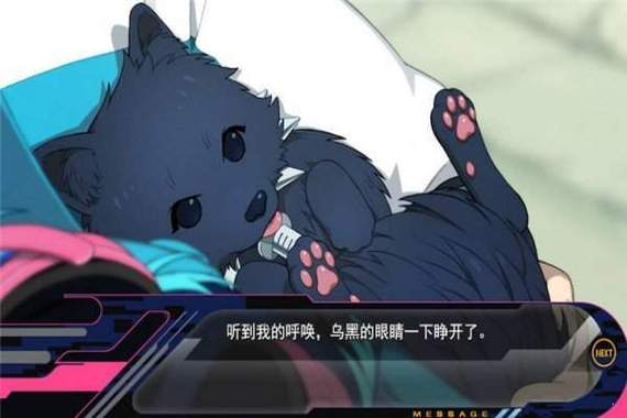 dmmd手机版汉化版安装包下载截图
