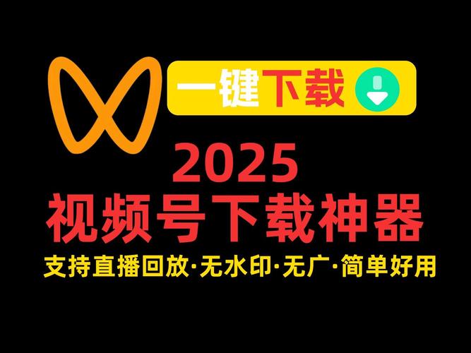 2025最新ipv6直播源