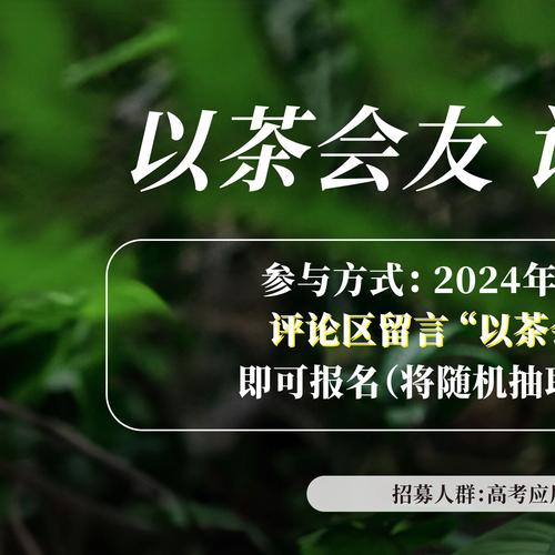 以茶交友台词大全仲夏版