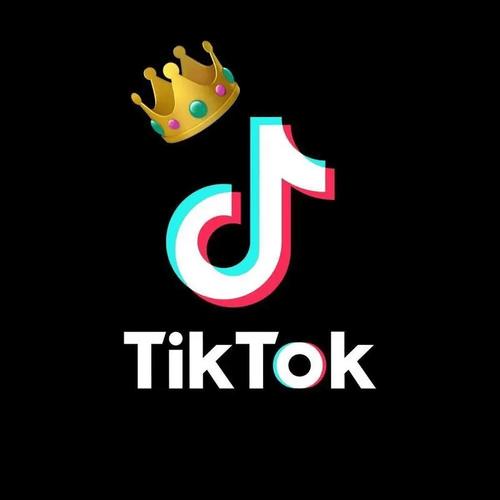 TT抖音色板