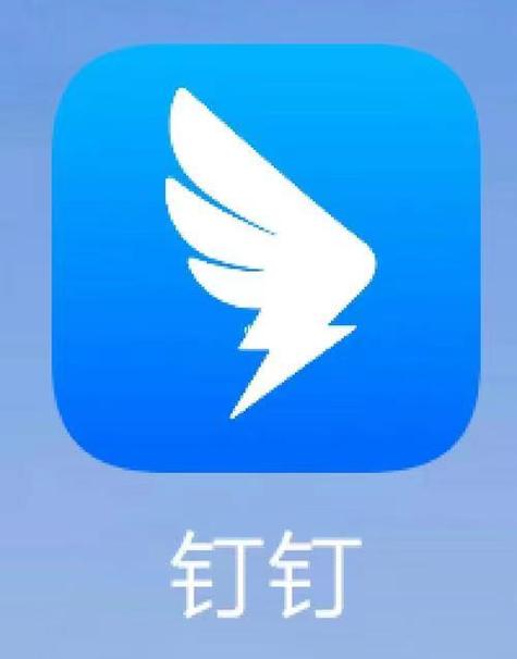 钉钉打卡安装免费