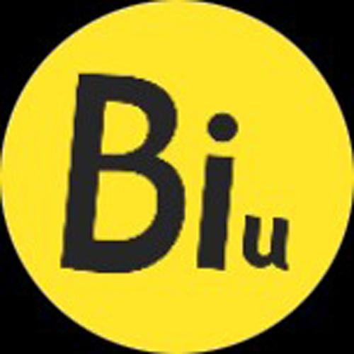 biu神器老版本安装截图