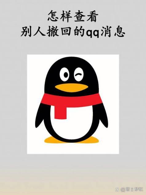 qq防撤回破解版视频永久