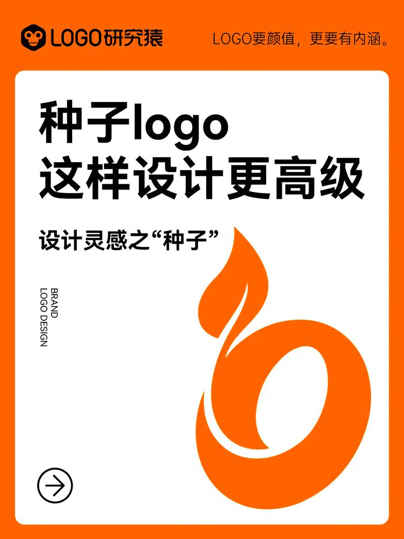 种子的结构