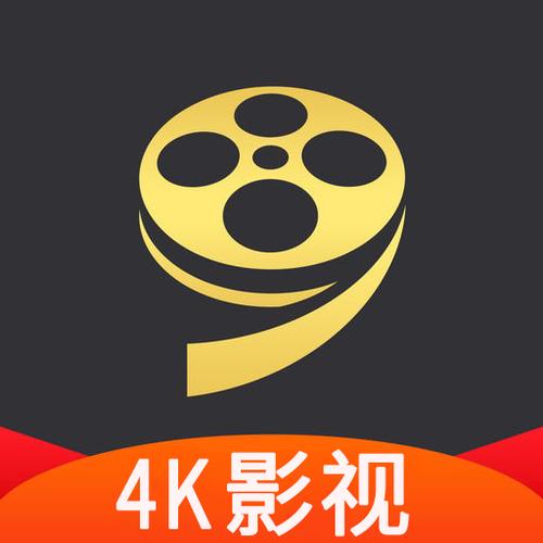 完美4k影视软件下载截图