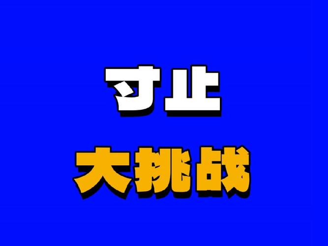 每日大赛主题大赛寸止挑战永久不升级截图
