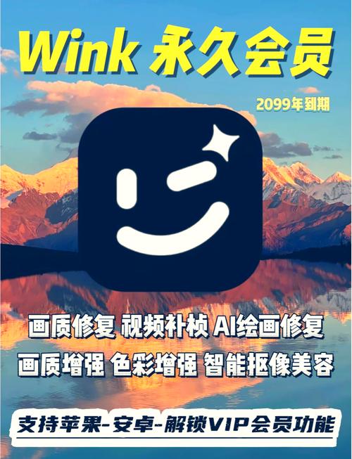 wink最新版破解永久vip图标