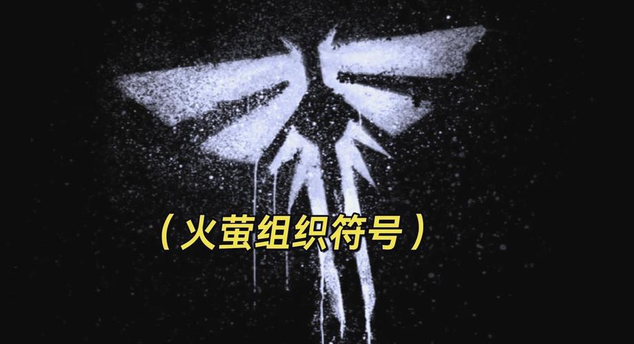 火萤组织