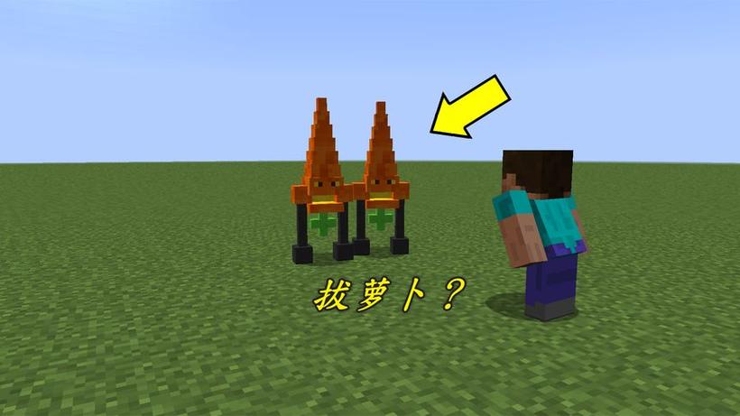 我的世界珍妮拔萝卜免费版截图