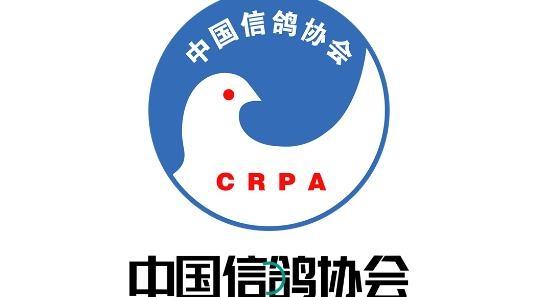 中鸽3g直播网中国信鸽网截图
