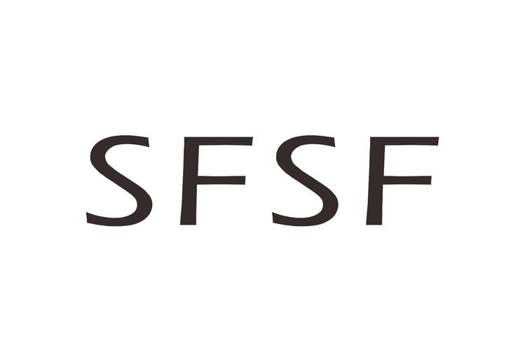 SFS破解版